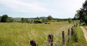 Demandes concurrentes d’autorisation d’exploiter une parcelle agricole : qui est prioritaire ?