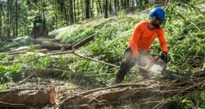 Agriculteurs : prorogation du taux de TVA à 10 % sur vos travaux forestiers