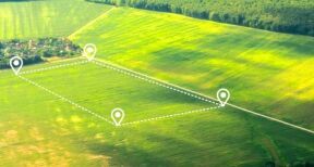 Un nouveau type de structure agricole pour attirer l’épargne des Français ?