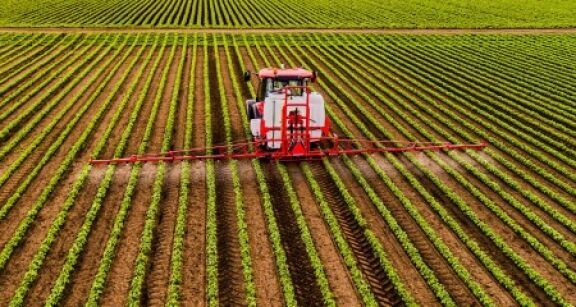 Toutes cultures : le glyphosate à nouveau autorisé pour 10 ans ?