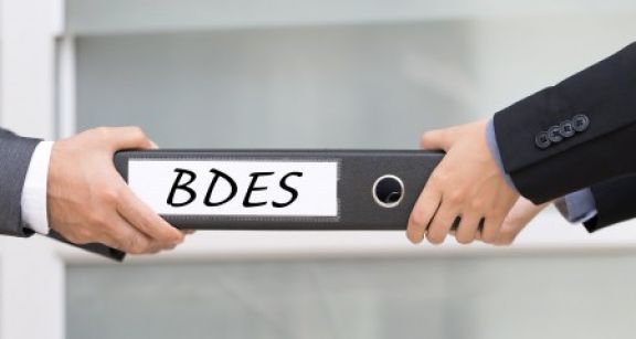 BDES&#x00a0;: quel est son contenu&#x00a0;?