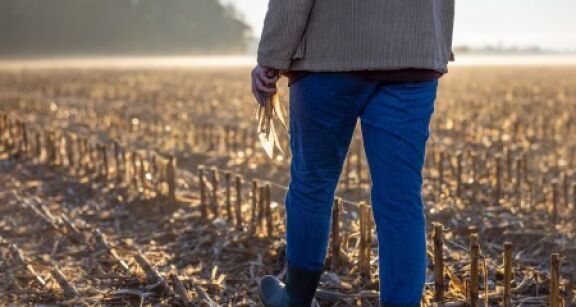 Fermages impayés par un enfant à un parent : à rapporter à la succession ?