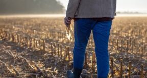 Fermages impayés par un enfant à un parent : à rapporter à la succession ?