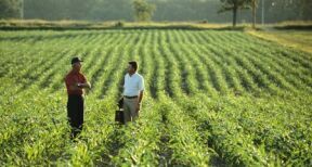 Quand la décision de préemption d’une Safer n’est pas justifiée