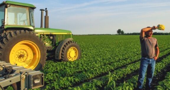 Exploitation en société de parcelles familiales : une simple déclaration ne suffit pas !