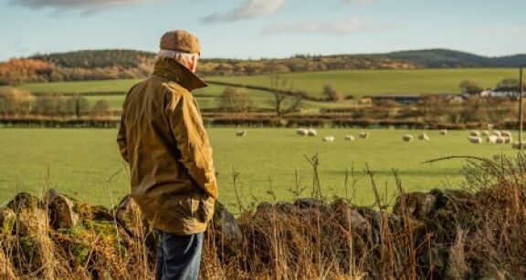 Mise à disposition à une société de terres agricoles louées : il faut les exploiter !