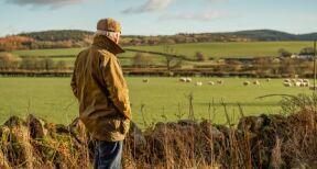Mise à disposition à une société de terres agricoles louées : il faut les exploiter !
