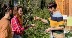 Vers une fiscalité moins favorable pour les meublés de tourisme