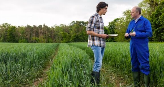 Quand un prêt à usage est requalifié en bail rural
