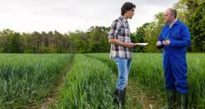 Quand un prêt à usage est requalifié en bail rural