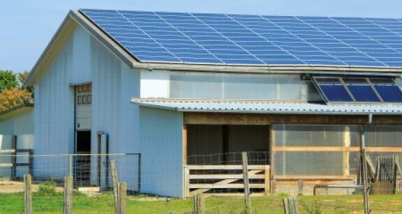 Exonération des plus-values des TPE et pluralité d’activités