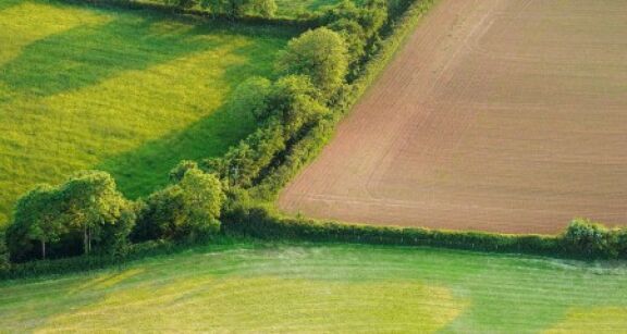 Le volet agricole de la planification écologique