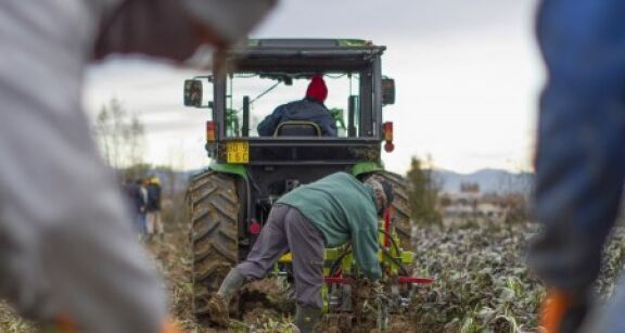 Exploitants agricoles : montant de la cotisation Atexa pour 2024