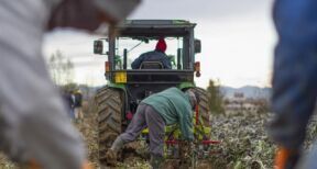 Exploitants agricoles : montant de la cotisation Atexa pour 2024