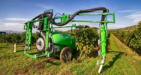 Viticulteurs : aide aux investissements vitivinicoles 2024