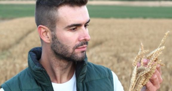 Aides à l’installation des jeunes agriculteurs : du nouveau