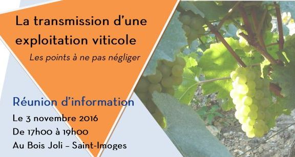 Réunion d'information - La transmission d'une exploitation viticole