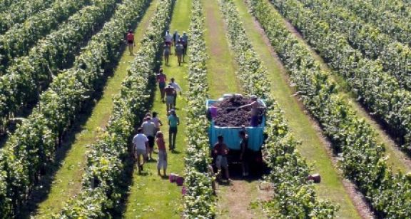 Dérogations aux règles d’hébergement des travailleurs saisonniers agricoles