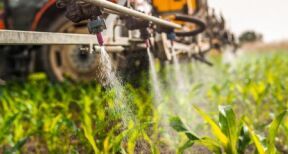 Agriculteurs : prolongation d&#x2019;un an des certiphytos arrivant &#x00e0; &#x00e9;ch&#x00e9;ance