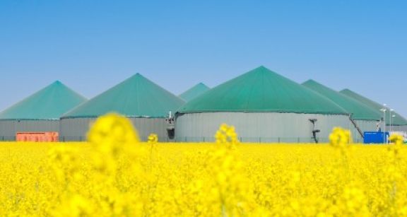 Exonérations d’impôts locaux pour la méthanisation agricole