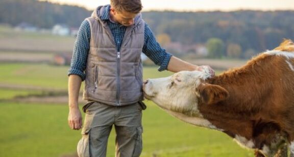 Agriculture : augmentation de plusieurs aides de la Pac au titre de 2023