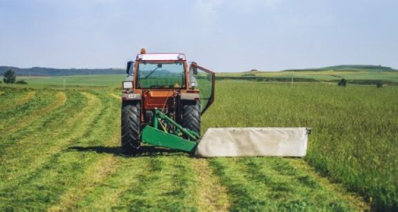 La r&#x00e9;siliation de plein droit d&#x2019;un bail rural environnemental