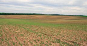 Le prix des terres agricoles et viticoles en&#x00a0;2023