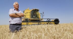 Bail rural : gare au recours &#x00e0; une entreprise de travaux agricoles&#x00a0;!