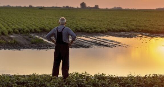 Des d&#x00e9;gr&#x00e8;vements de taxe fonci&#x00e8;re pour les agriculteurs victimes d&#x2019;une perte de r&#x00e9;coltes