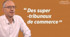 Les tribunaux des activit&#x00e9;s &#x00e9;conomiques