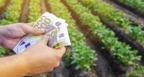 De nouvelles aides à la trésorerie pour les exploitants agricoles