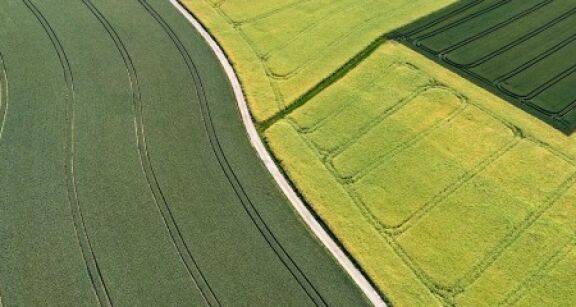 Échange de parcelles agricoles : les droits du locataire