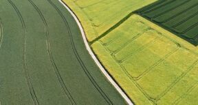 Échange de parcelles agricoles : les droits du locataire