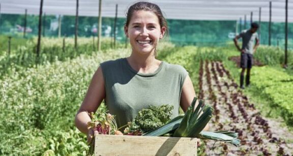 Exploitants agricoles : fixation du montant définitif 2024 de plusieurs aides Pac