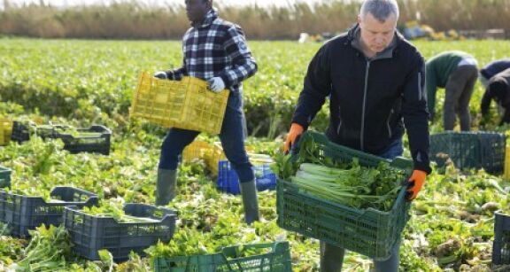 Insertion : revalorisation des montants des aides financières versées aux SIAE