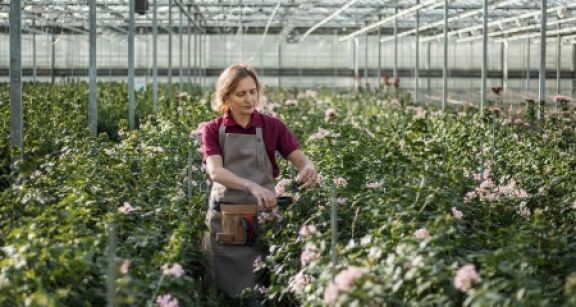 Activités agricoles exonérées de CFE : à condition que l’activité soit agricole !