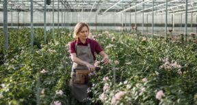 Activités agricoles exonérées de CFE : à condition que l’activité soit agricole !