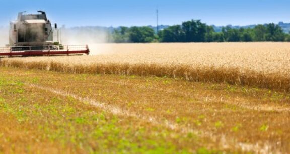 La production agricole a reculé de 7,5 % en 2024