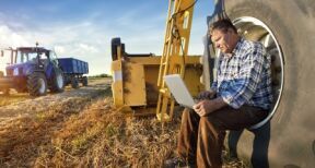 Éleveurs : vous pouvez demander les aides animales 2025