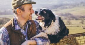 Elevages ovin et caprin : aide à la protection des troupeaux contre les prédateurs