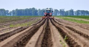 Mise à disposition d’une société de parcelles agricoles louées : il faut les exploiter !
