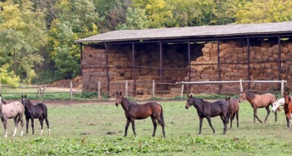 Vers une extension du régime micro-BA ?