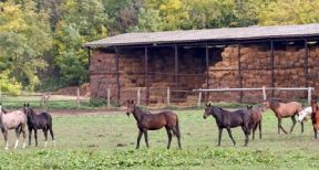 Vers une extension du régime micro-BA ?