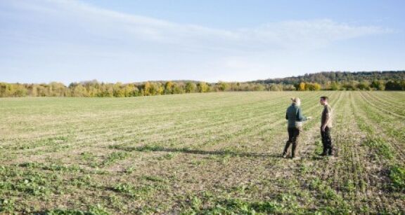 Préemption de la Safer sur une parcelle agricole : le droit du vendeur de se retirer