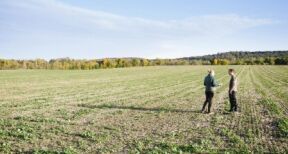 Préemption de la Safer sur une parcelle agricole : le droit du vendeur de se retirer