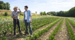 Céder son bail rural à un neveu après l’avoir adopté, c’est possible !
