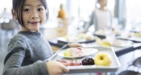 Restauration collective : interdiction des contenants alimentaires en plastique