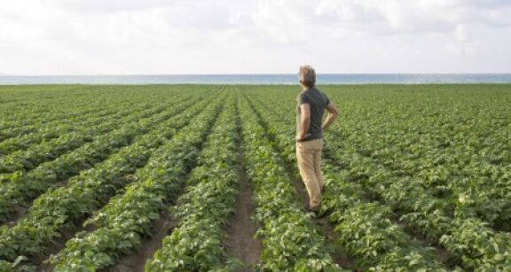 Violation du droit de préemption de l’exploitant agricole : quel délai pour contester ?