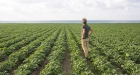 Violation du droit de préemption de l’exploitant agricole : quel délai pour contester ?