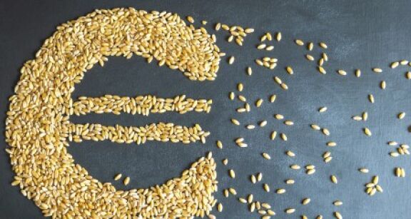 Exploitants agricoles : vous pouvez demander l’aide à la trésorerie